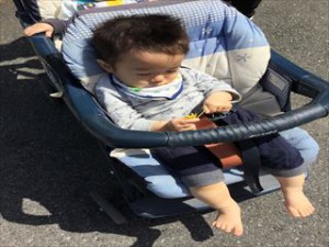 「タンポポの花・・きれい」