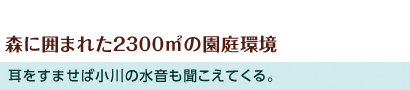 森に囲まれた2300㎡の園庭環境